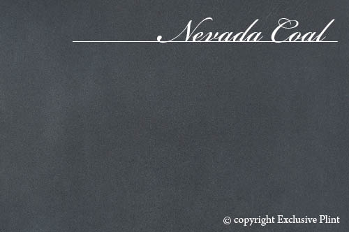 Nevada Coal Leder-Wandpaneel