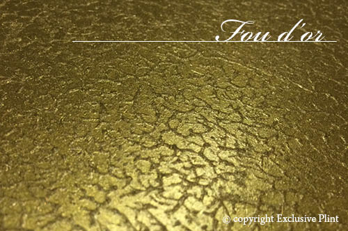 Struktur Wandpaneel Fou d'or