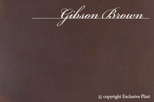 Gibson Brown Leder-Wandpaneel